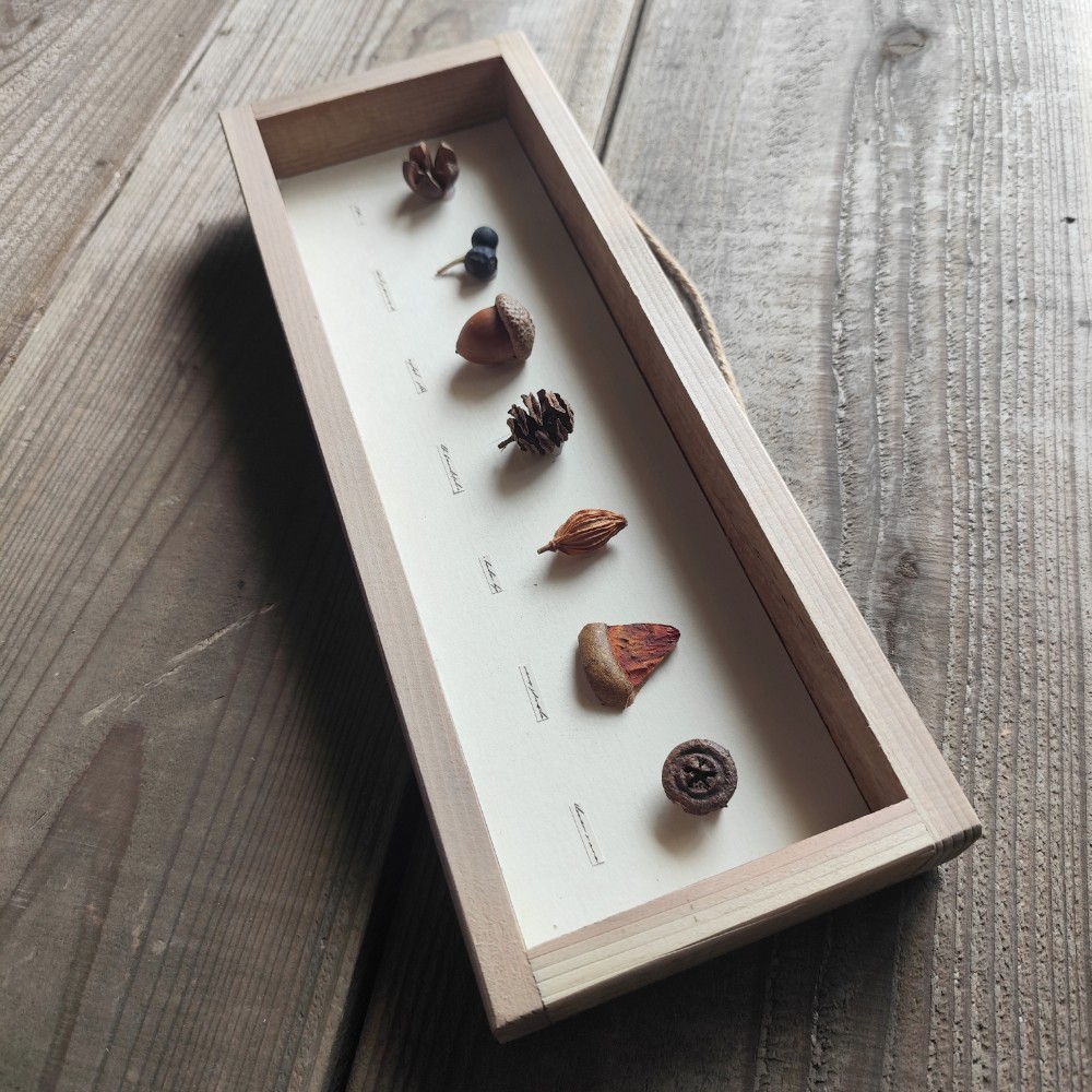 木の実のパネル